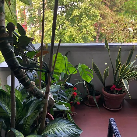 Fior Di Loto Séjour chez l'habitant Ravenne